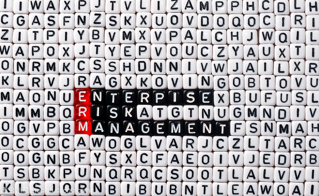 erm 企業(yè)風(fēng)險管理