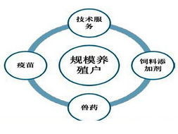 瑞普行業(yè)動(dòng)態(tài)與企業(yè)管理趨勢分析